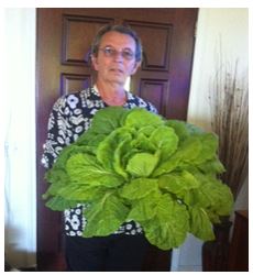My friend Mitch with his Chinese cabbage